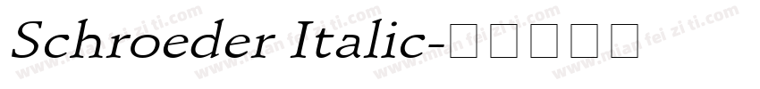 Schroeder Italic字体转换